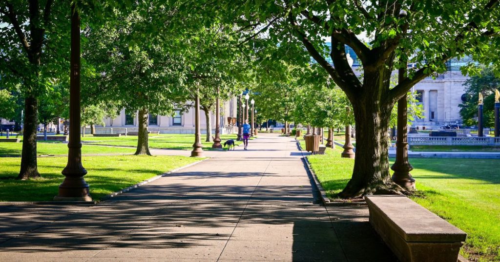宮前区で子どもと行くべきおすすめの公園はどこ？