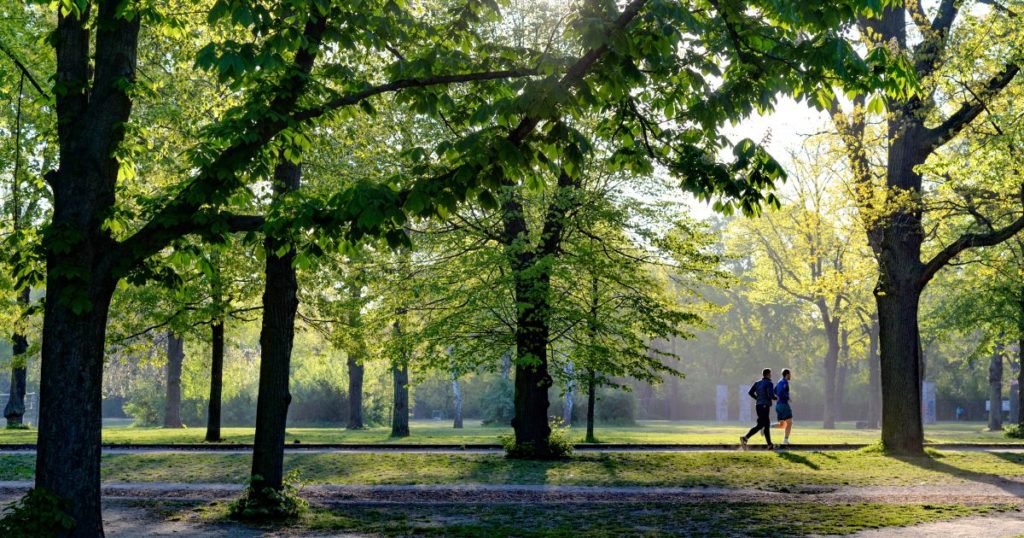 宮前区の通学路や公園の環境