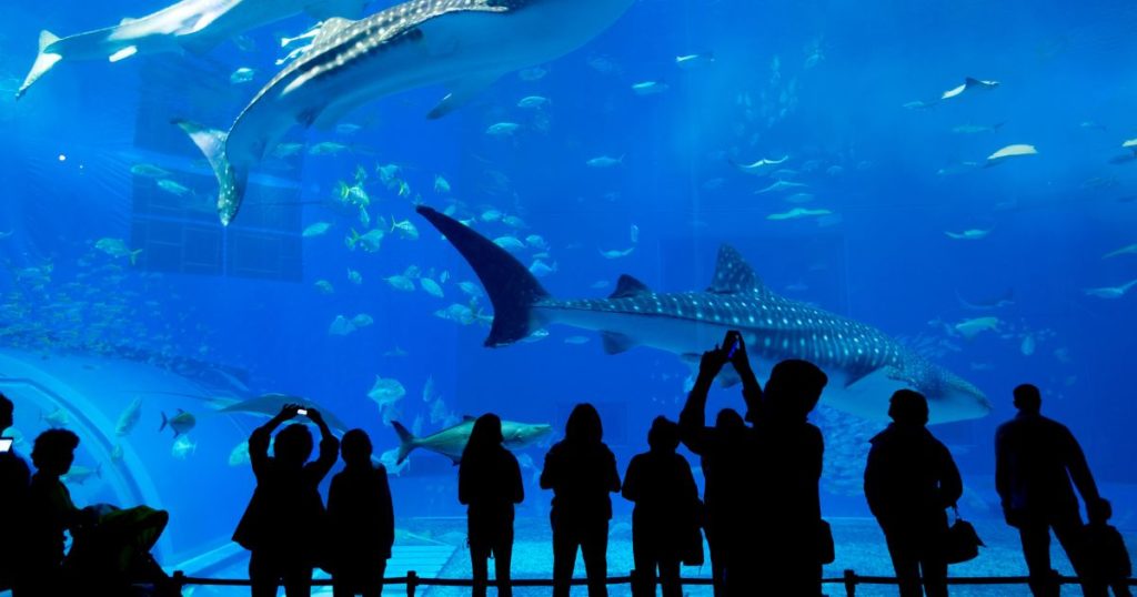 ホリスタを活用して子どもと一緒に過ごす選択肢もある